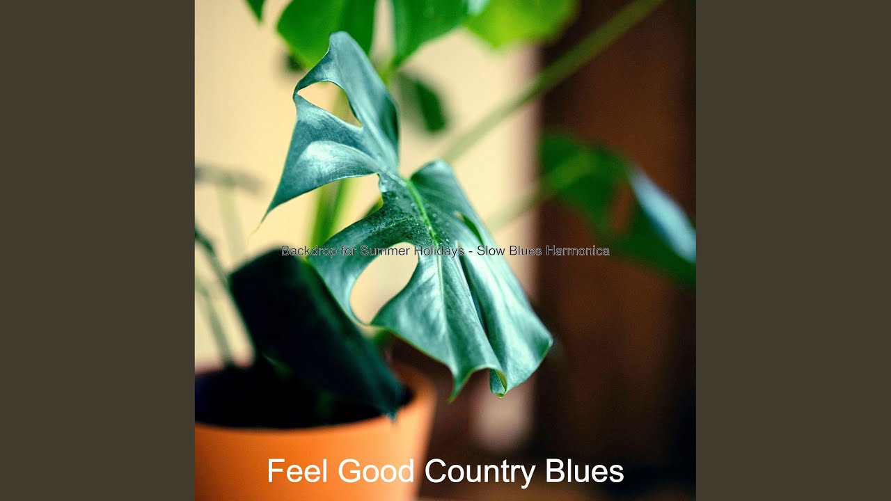 Retro Blues - Vibe for Country Vibes