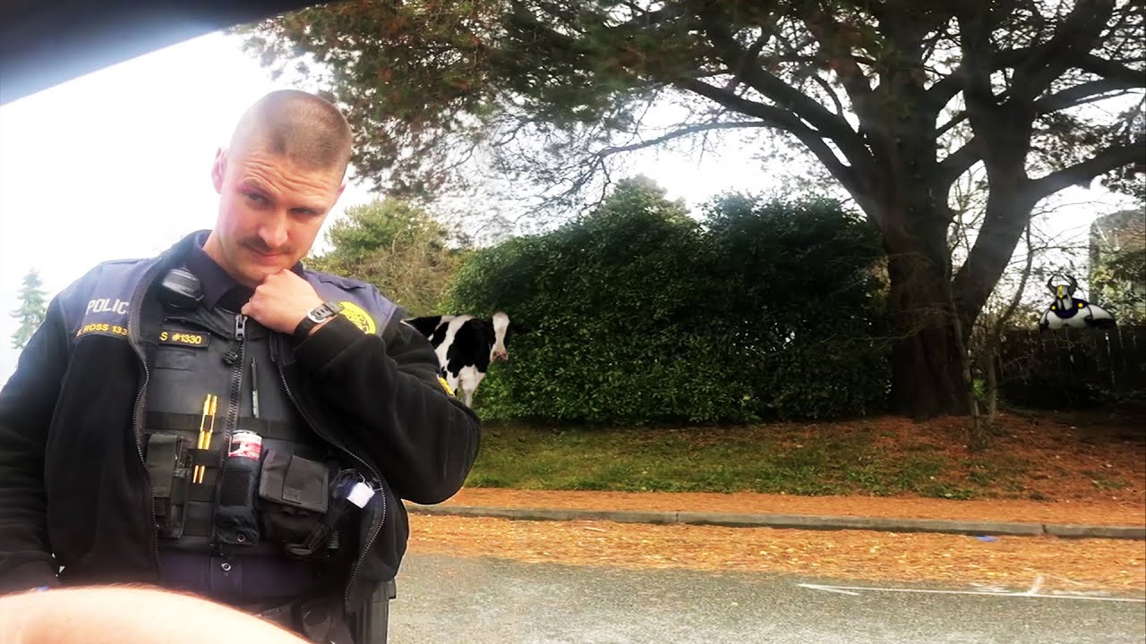 Sergeant Baffled by Glenn Cerio's Sheer Stupidity, Glenn Origin Story - Sovereign Citizens Owned 158
