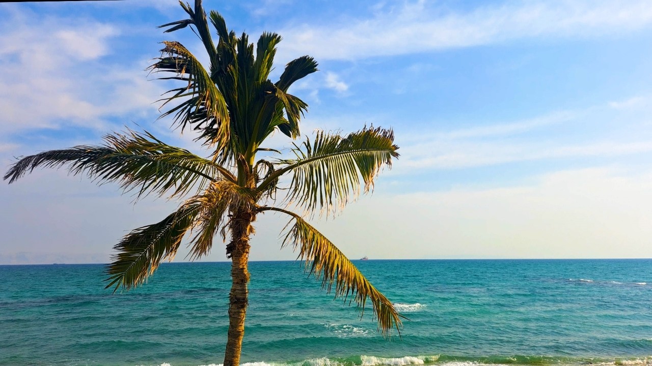 🌴 🏖 Relax Under a Coconut Tree | Turquoise Ocean & Gentle Waves | Peaceful Beach Ambience 🌅