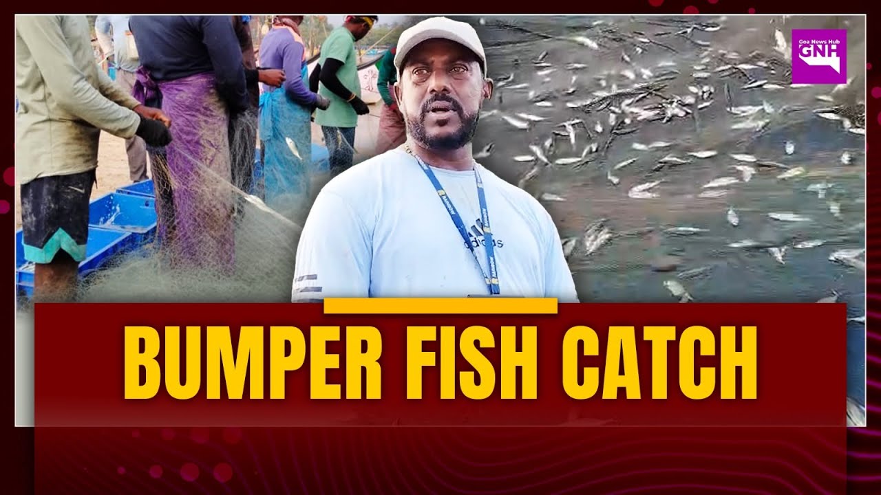 BUMPER FISH CATCH