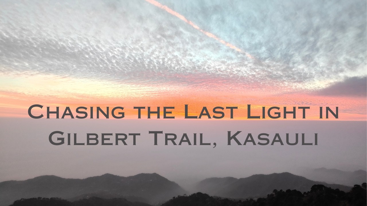 Golden Silence on Gilbert Trail (Chasing the Last Light in Kasauli) | Epic Trips