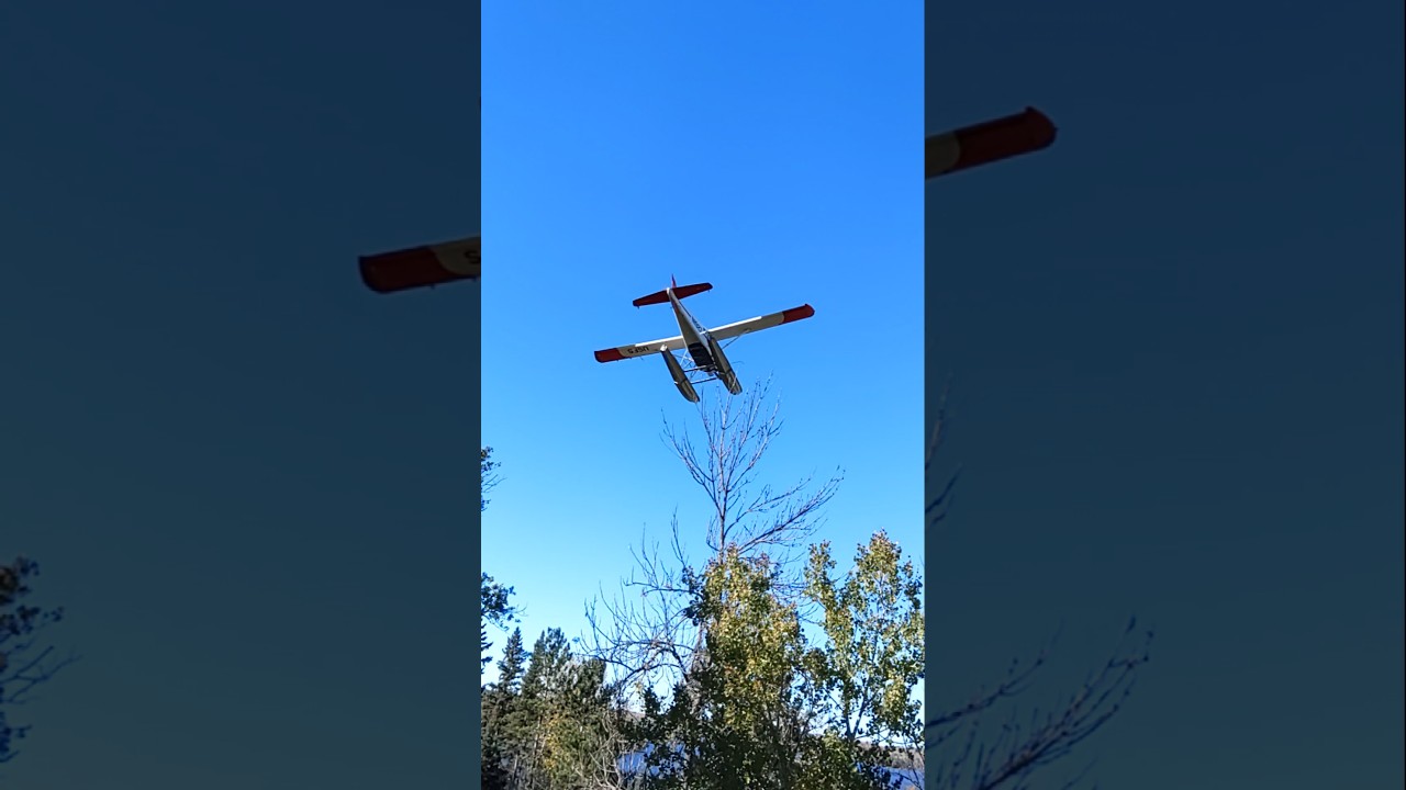 Another Tree-Top Landing 