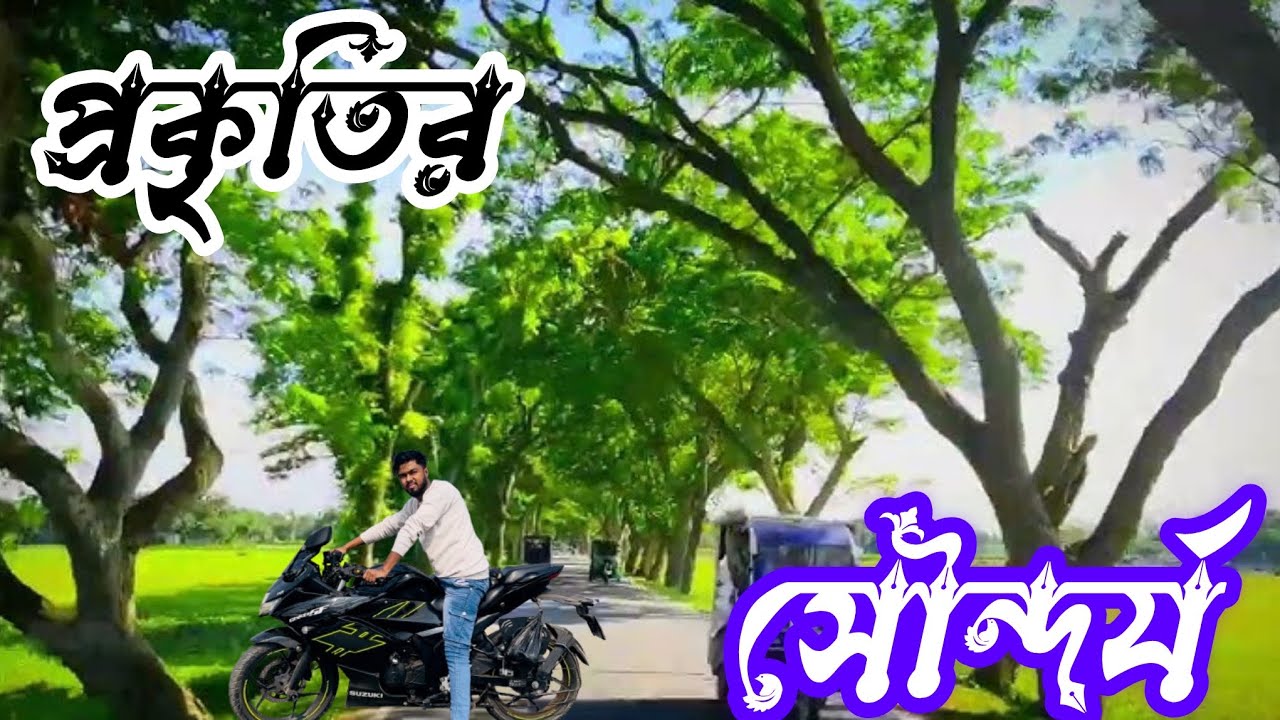 প্রকৃতির সৌন্দর্যে ঘেরা | পীরগাছা রোড! 