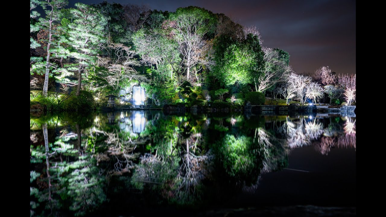 【久留米 4K】夜にひらく庭園──静寂に灯る石橋文化センター【風景紀行】