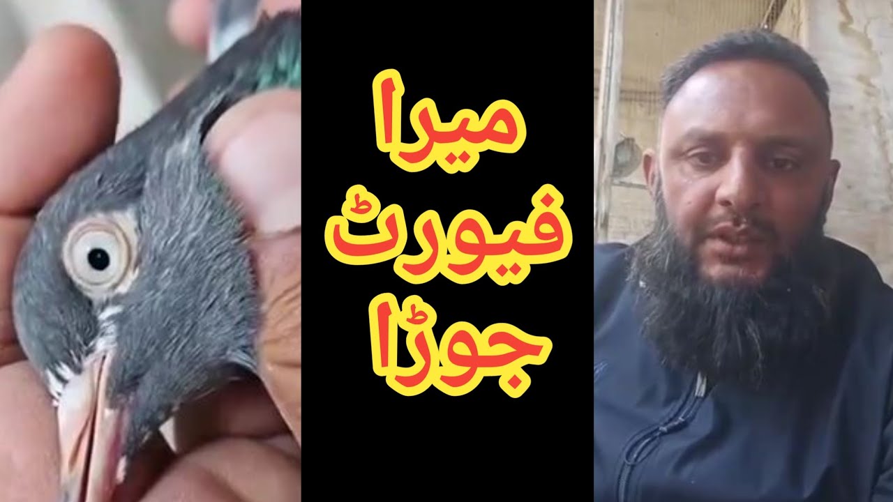 Ustad Haji Imran Bakker Mandi Lahore Ustad Imran