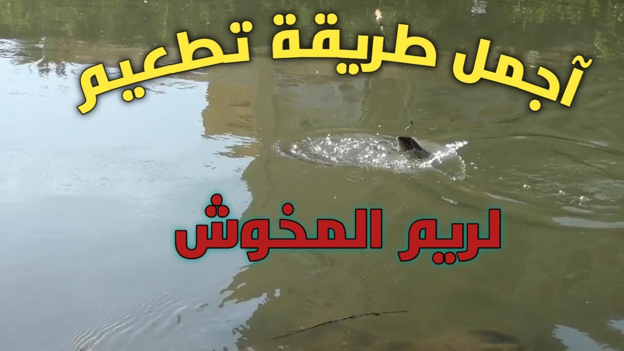 الصيد بالريم واجمل طريقة تطعيم2022 شاهد 👇👇👇