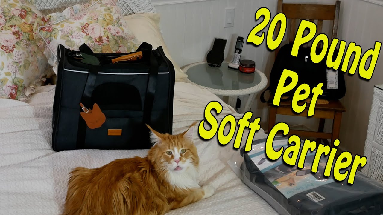 Morpilot Pet Carrier - Soft Carrier for Pets up to Twenty Pounds!