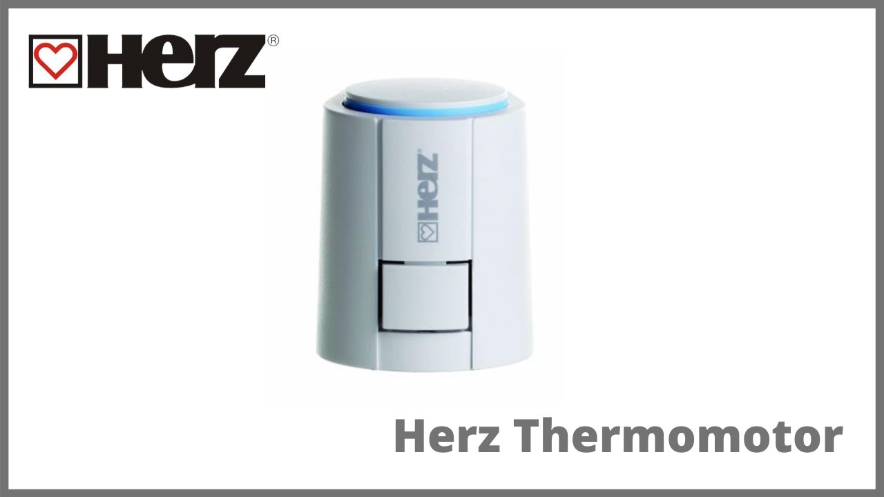 Herz - Thermomotor