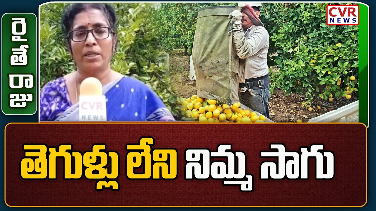 Lemon Farming Cultivation Techniques by Horticulture Scientist Madhumathi | Raithua Raju | CVR News
