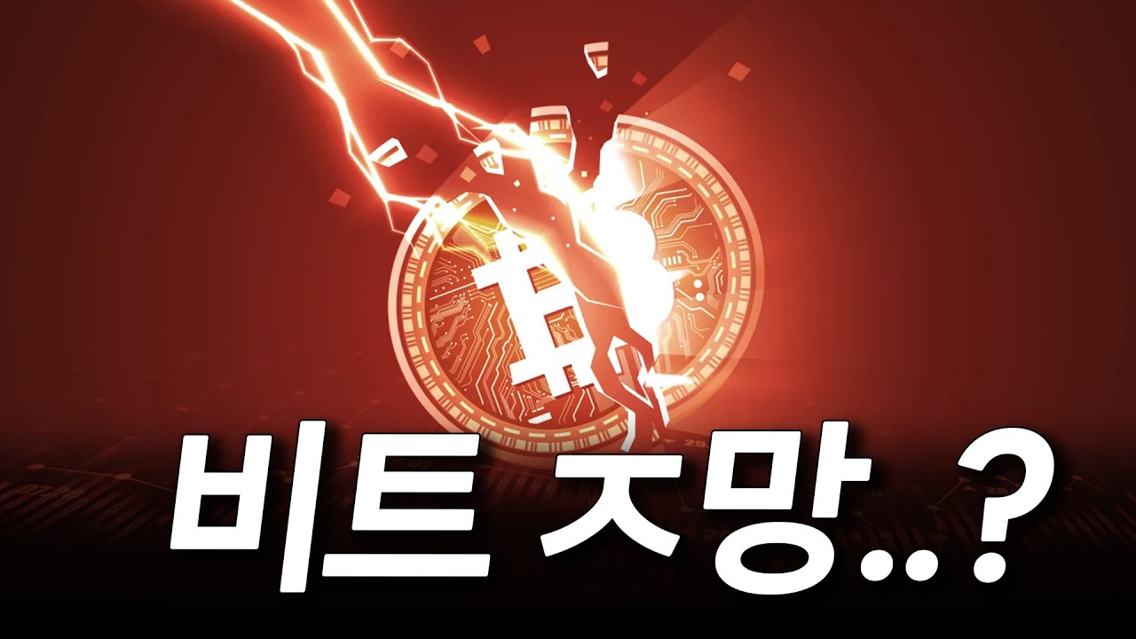 비트코인 X망했다..?