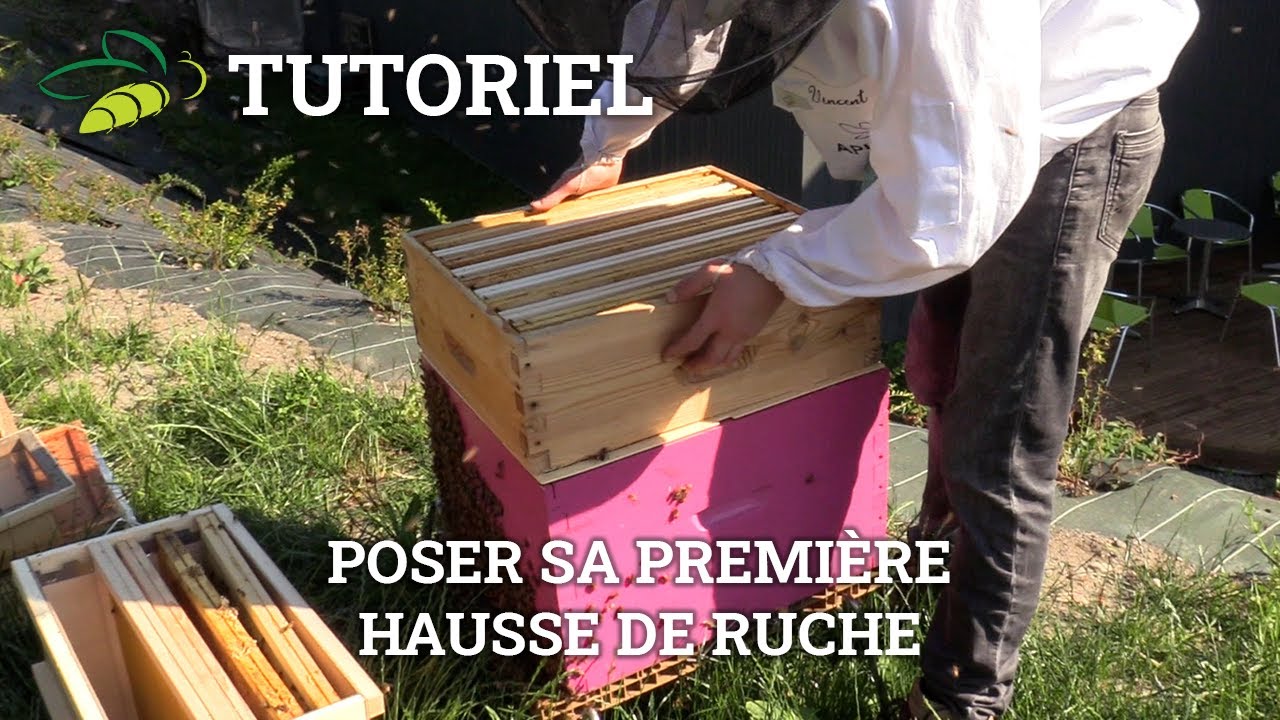 Comment poser ses hausses ?
