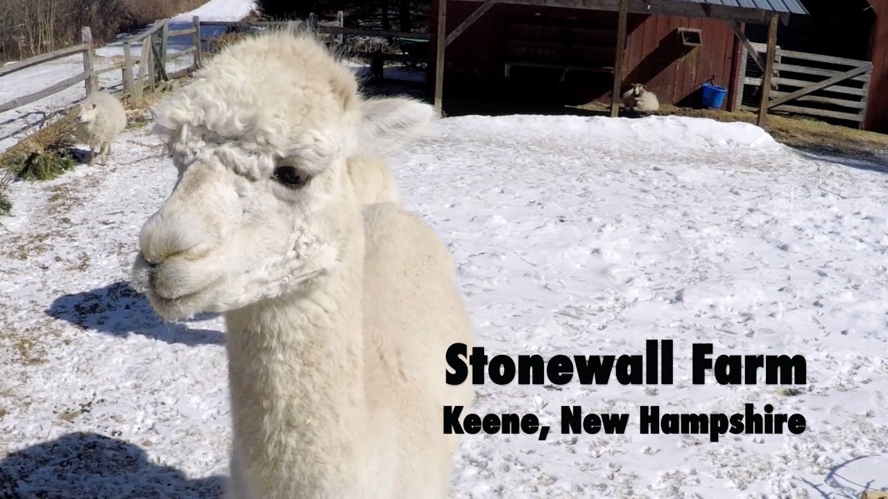 Stonewall Farm Keene, New Hampshire Crowdfunding Video