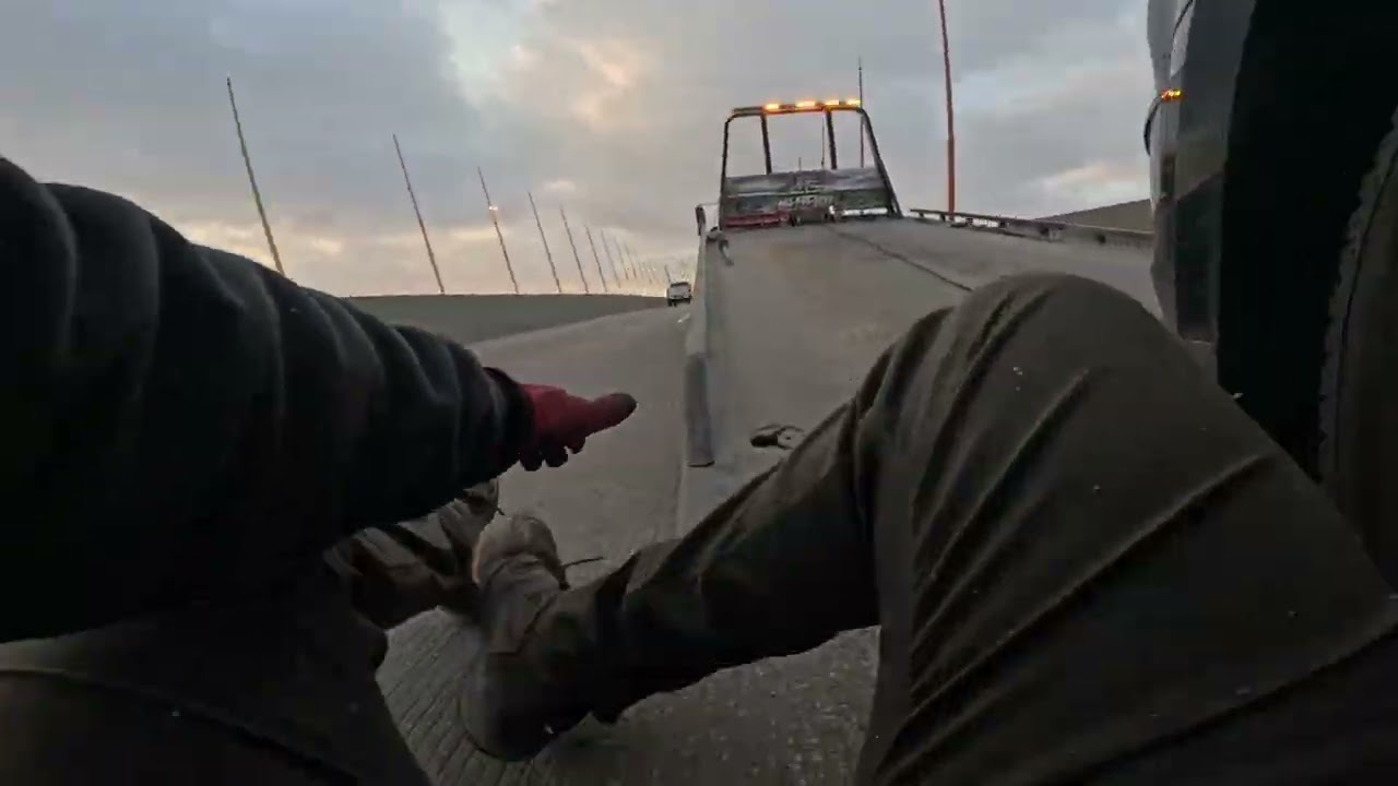 Lone Wolf Picking Up An Accident 