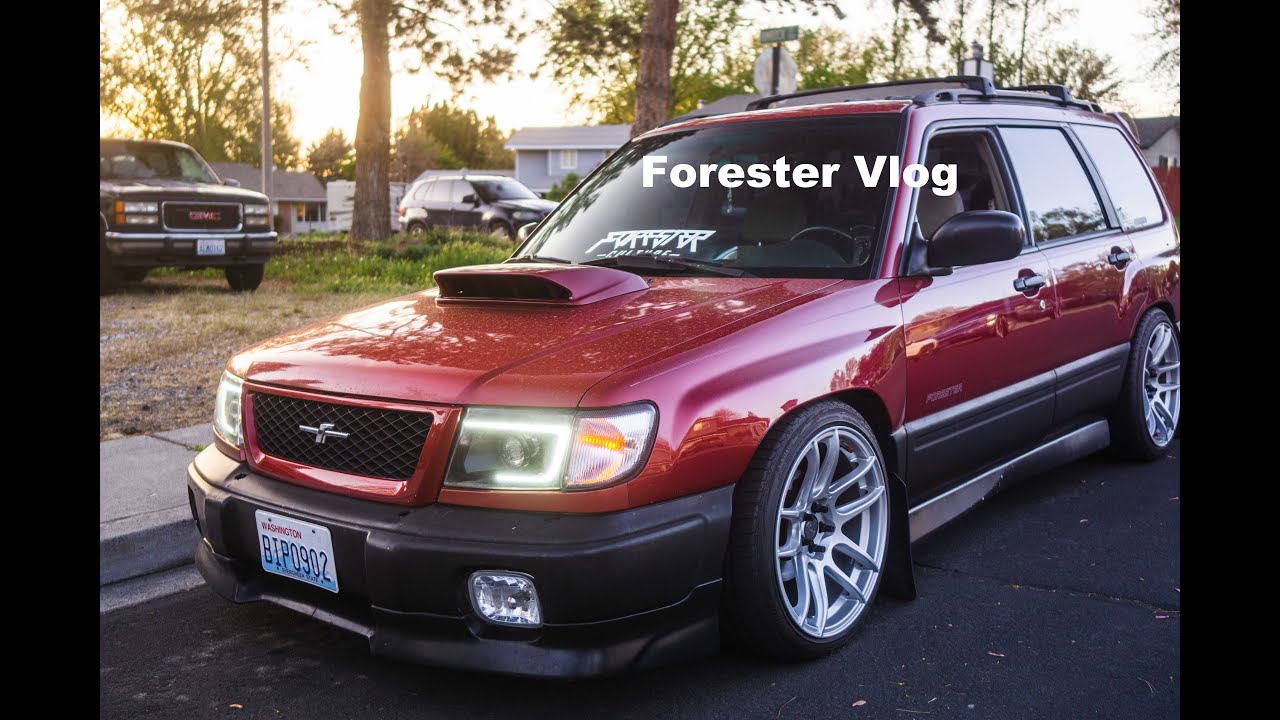 Forester XT Swapped SF Fozzy Vlog