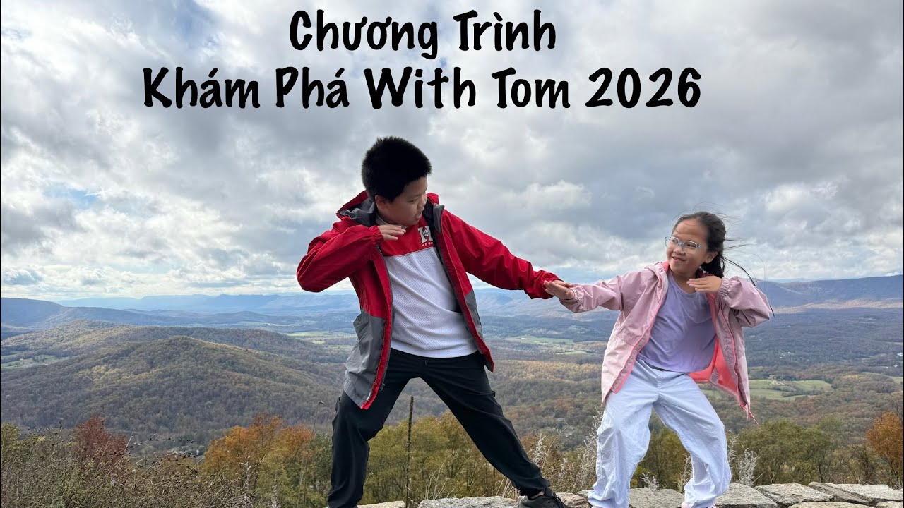 Thu Hoạch Trái Chanh Vàng Cuối Năm