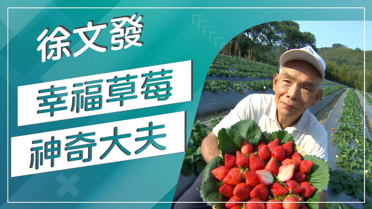 草地狀元-春暖花開幸福達人 幸福草莓VS 愛情可可(20180319播出)careermaster