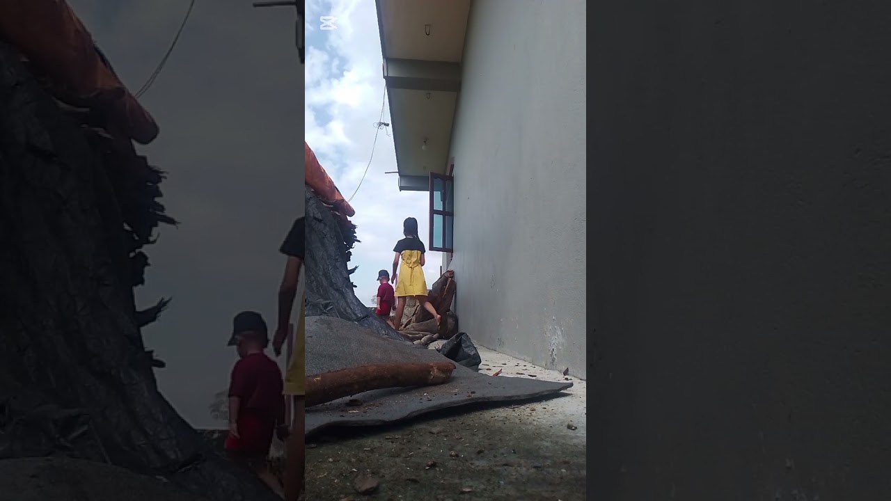 छुटिमा घरमा काम गर्दै छु हामी सबै मिलेरा है 