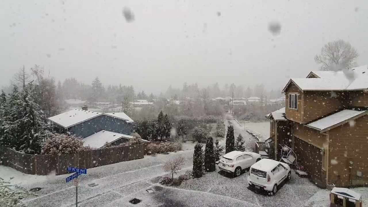 Tình Nhạt Phai - Nhạc Không Lời