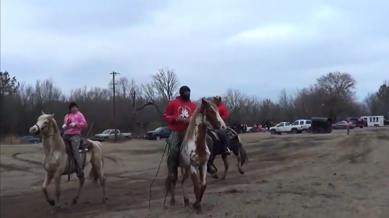 Extreme Singlefooting Hooks Trail Ride