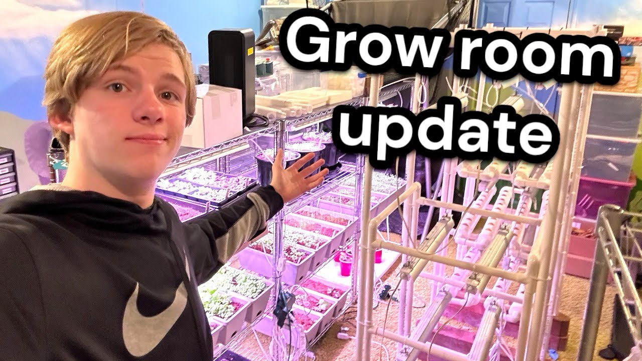 Grow Room Update