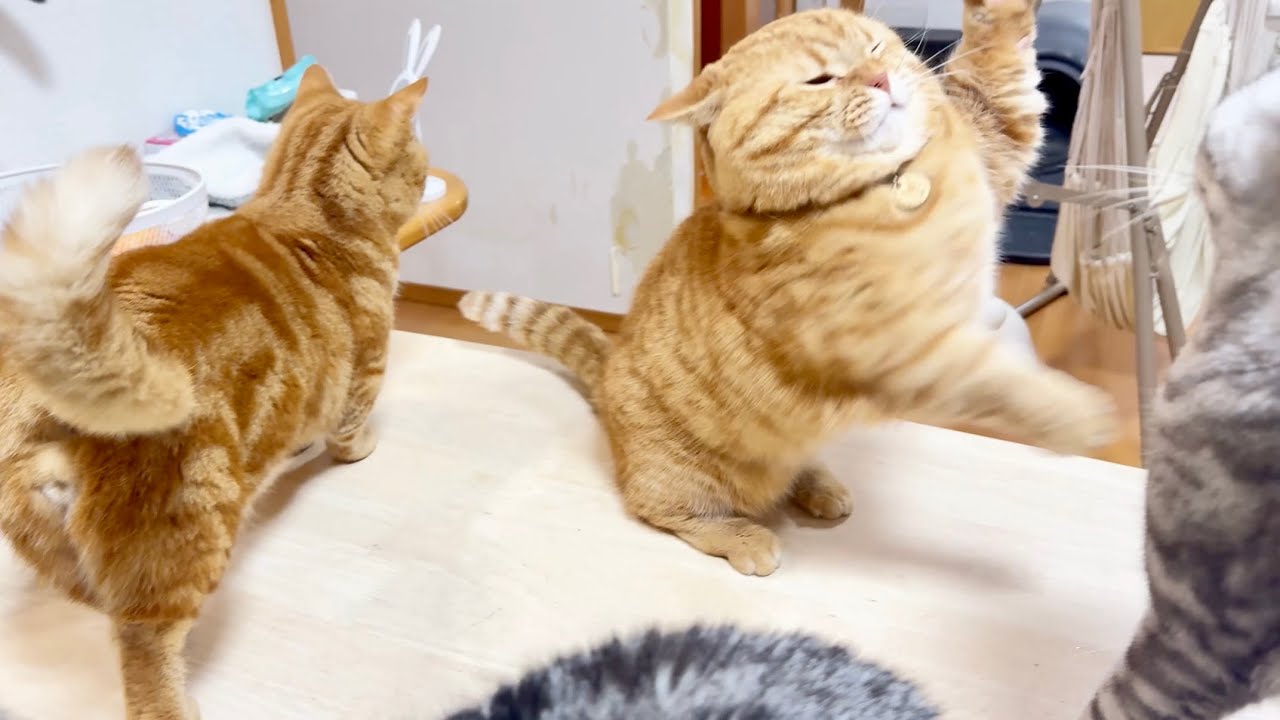 今年初のぐるぐるパンチ！