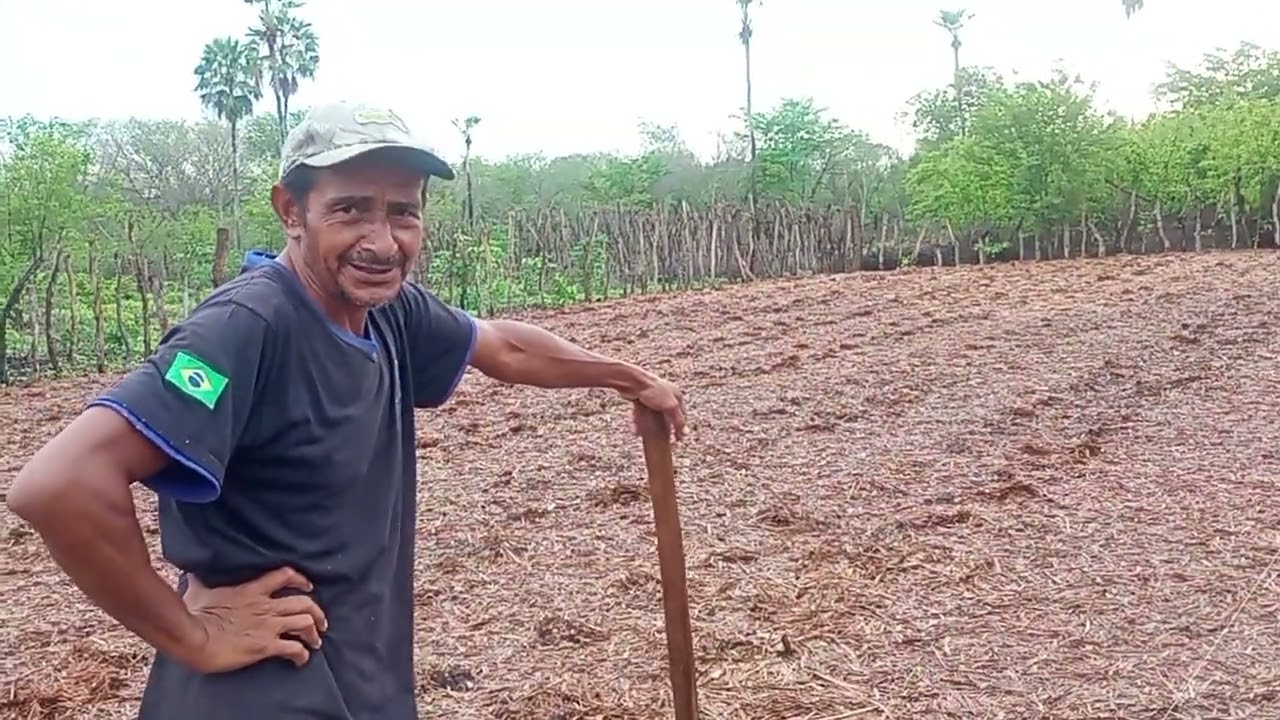 Começando a plantação #sitiorecomeco #platandoroca#trabalhonaroça #agro 