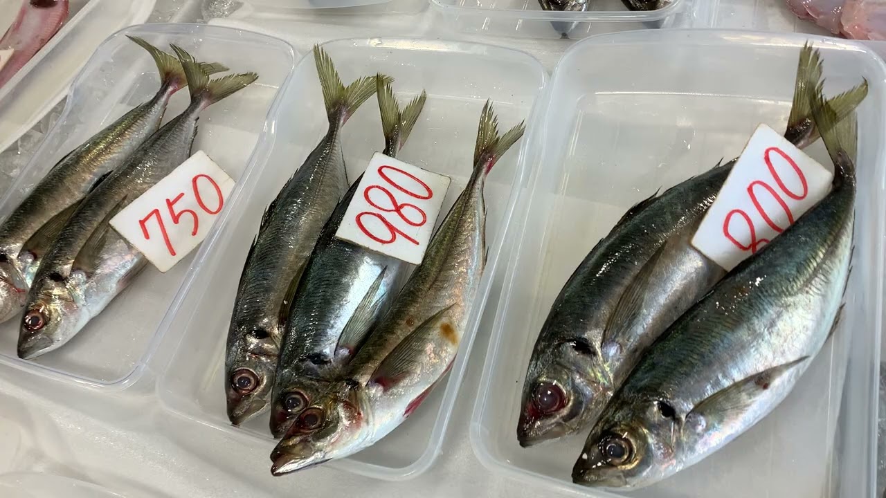 道の駅笠岡ベイファーム鮮魚コーナー3／26