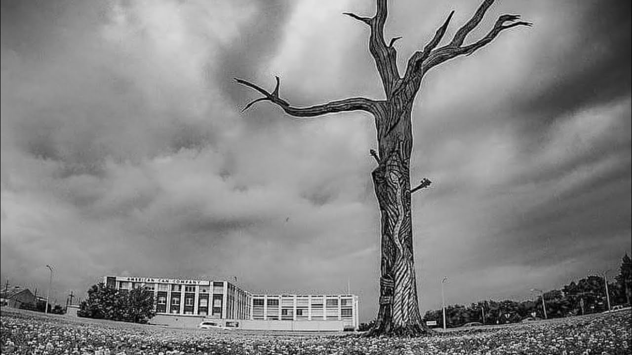 Roadside Attraction Series: The Music Tree in New Orleans