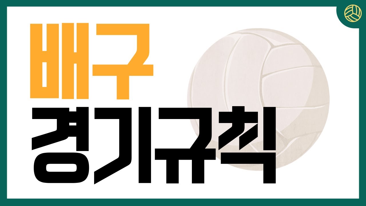 🏐배구 규칙 깔끔하게 정리해드립니다 | 스포츠백과사전