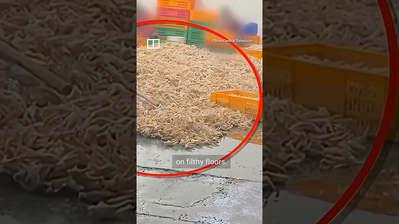 China's state TV exposes filthy secret behind chicken feet