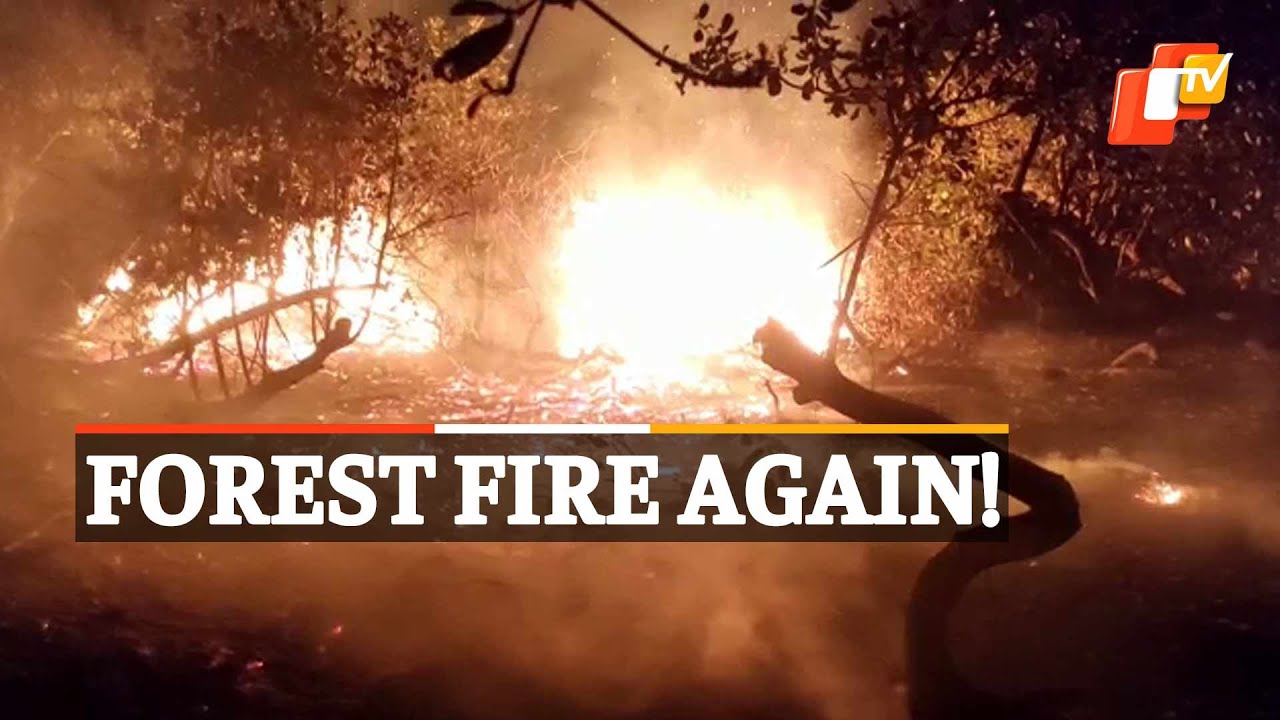 Massive Fire Breaks Out At Forest In Puri, Odisha | OTV News