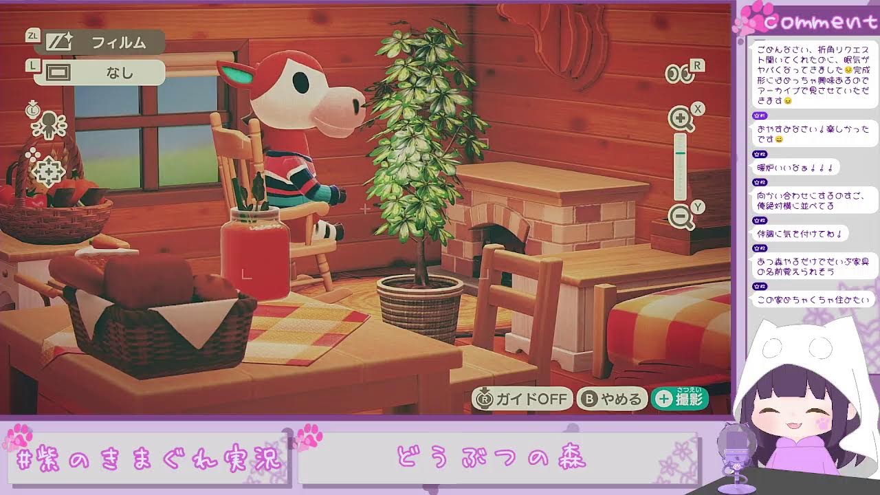 【あつまれ どうぶつの森】明日休みなのをいいことの夜更かししてコーディネートします