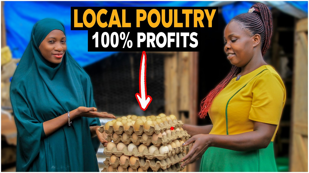 How She’s Cutting Costs & Boosting Profits on Her Small Poultry Farm
