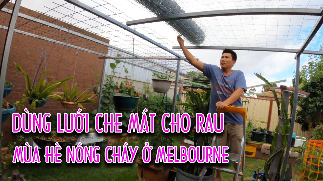 Lưới làm giàn bầu , mướp rẻ, đẹpmà  dài quá thoải mái