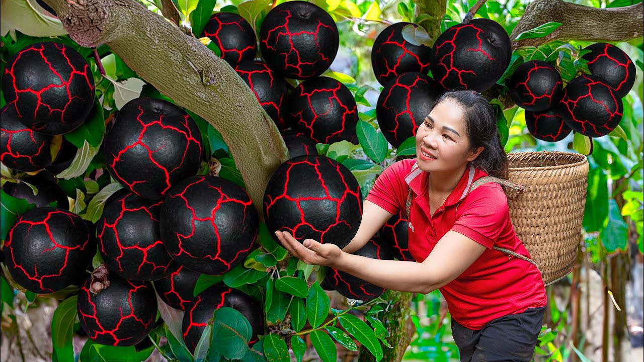 Harvesting 1000+ Black Volcano Fruits & Go to Market Sell | Glowing Red Cracks Like Hot Lava!