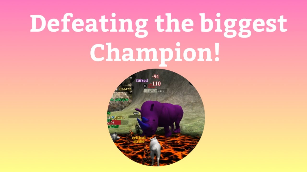 DEFEATING THE WHITE RHINOCEROS CHAMPION! (The Wolf)