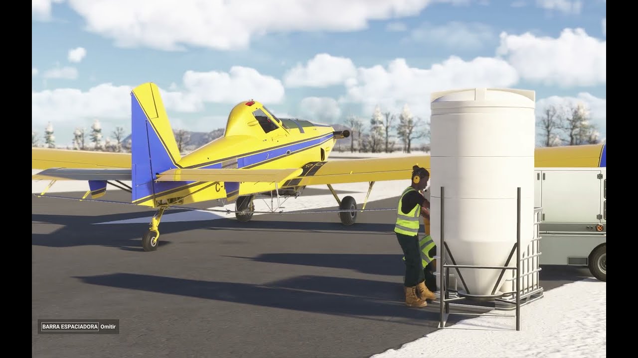 Microsoft Flight Simulator 2024  AT802