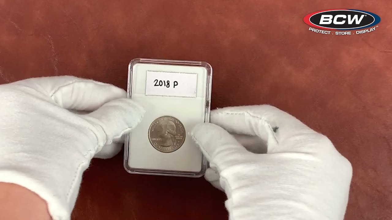 BCW Coin Display Slab Inserts &ndash; Quarter