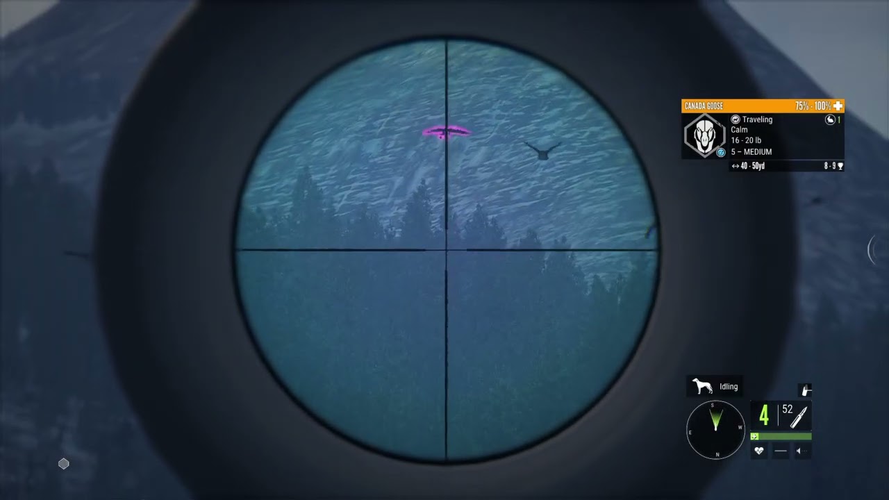 My 2nd Diamond Canada Goose  | theHunter: Call of the Wild