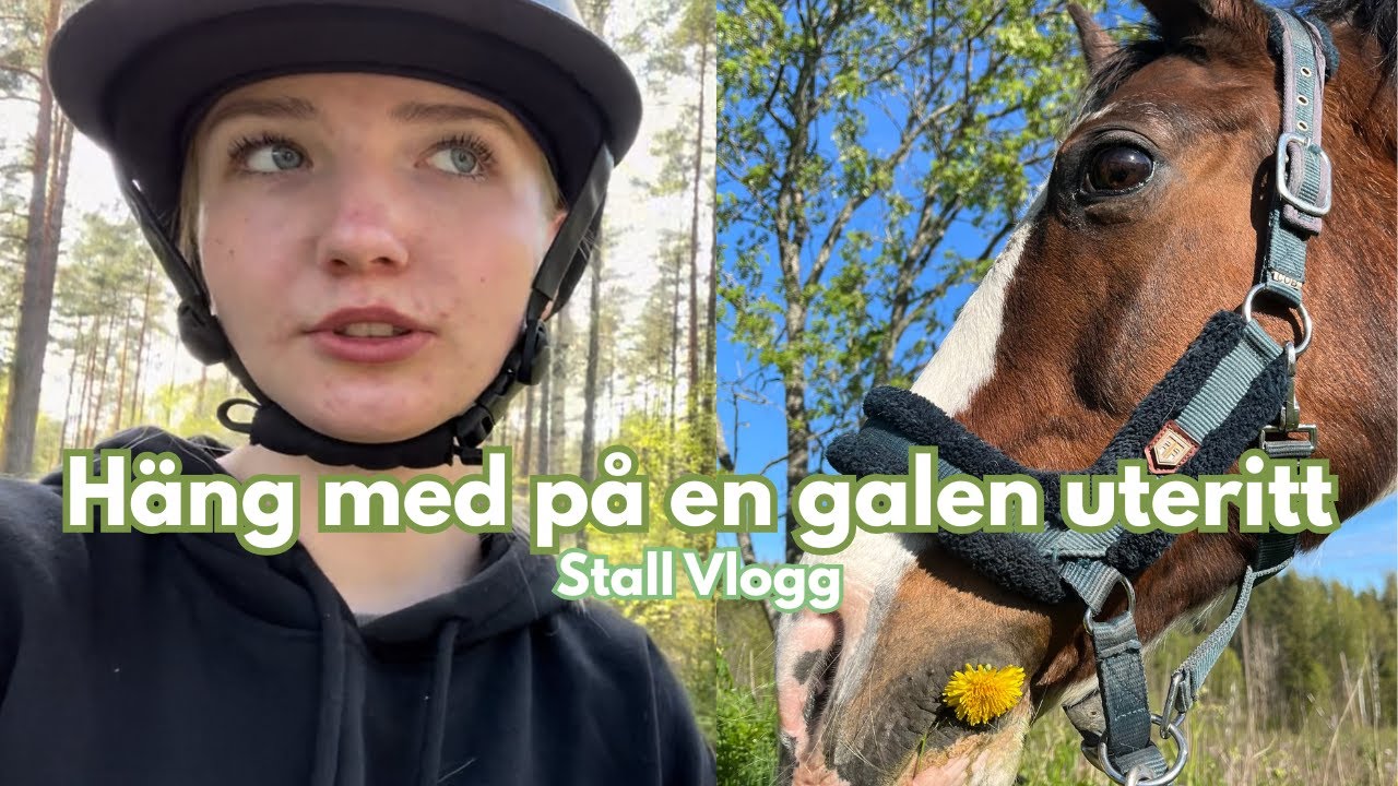 H&auml;ng med p&aring; en galen uteritt 🌳