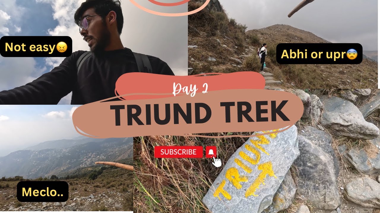 Triund Trek | Triund Trek guide | it is not easy😖 | Reality Explora | 2024