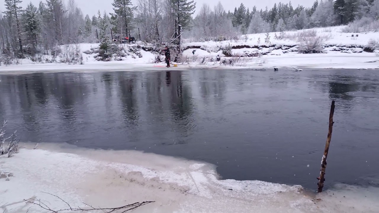 Vaismylleri