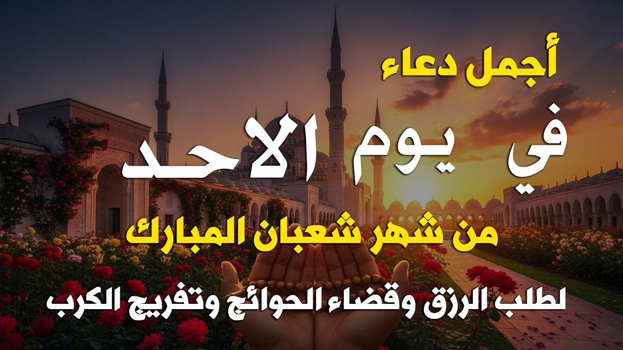 دعاء فى يوم الاربعاء المستجاب دعاء يوم 16 من شهر شعبان للرزق والشفاء العاجل وقضاء الحوائج 🤲(4k)