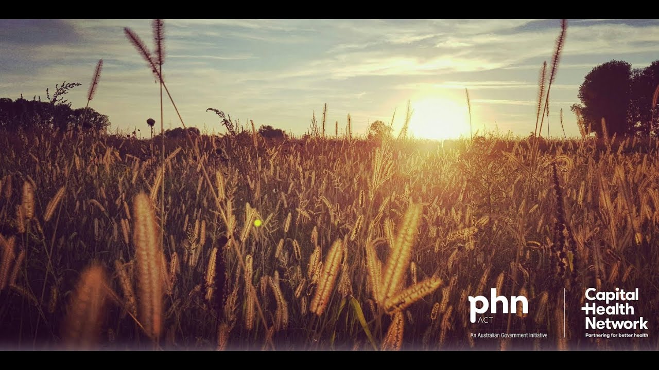 Session 4 : Symptom Management in Palliative Care – Pain