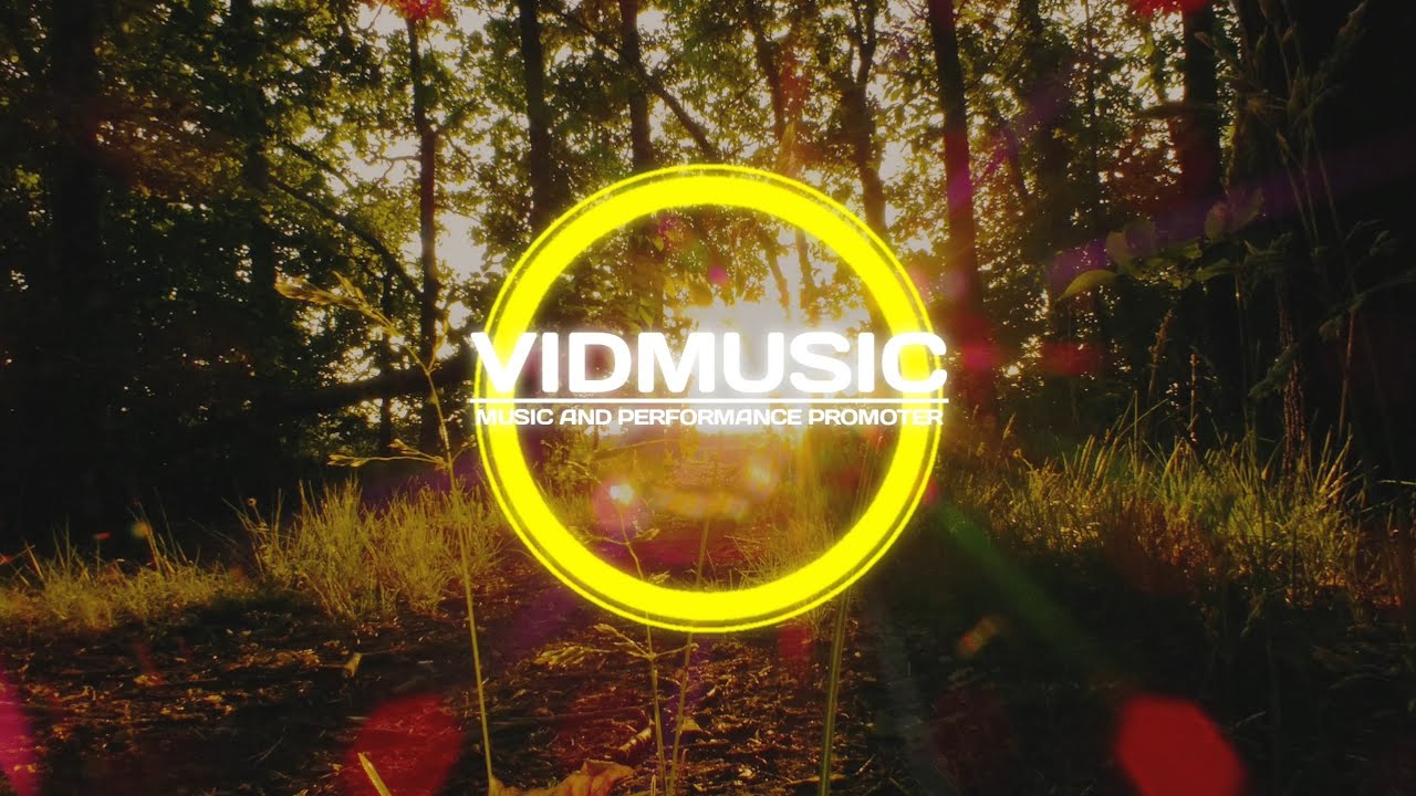 Joysic - You Don't Have To Cry | Progressive House | VidMusic MAPP