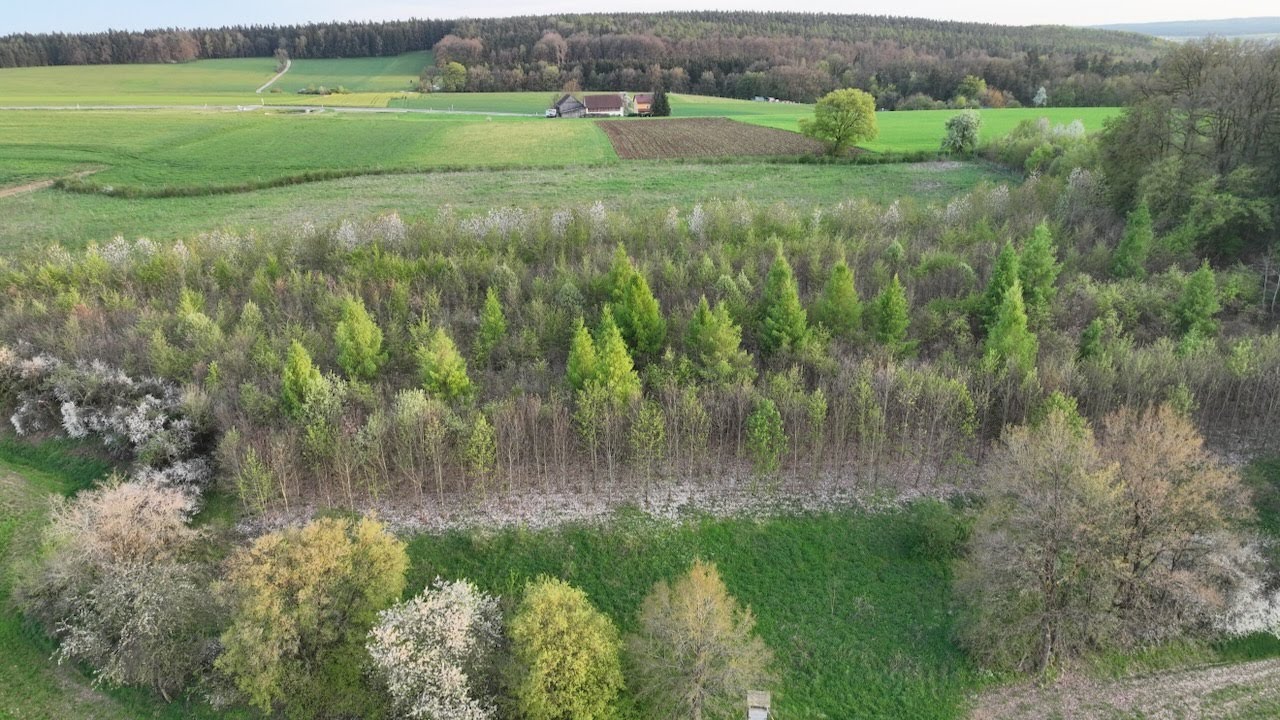 Die grüne Insel der Oberpfalz, mein Landkreis Amberg Sulzbach. Drohne