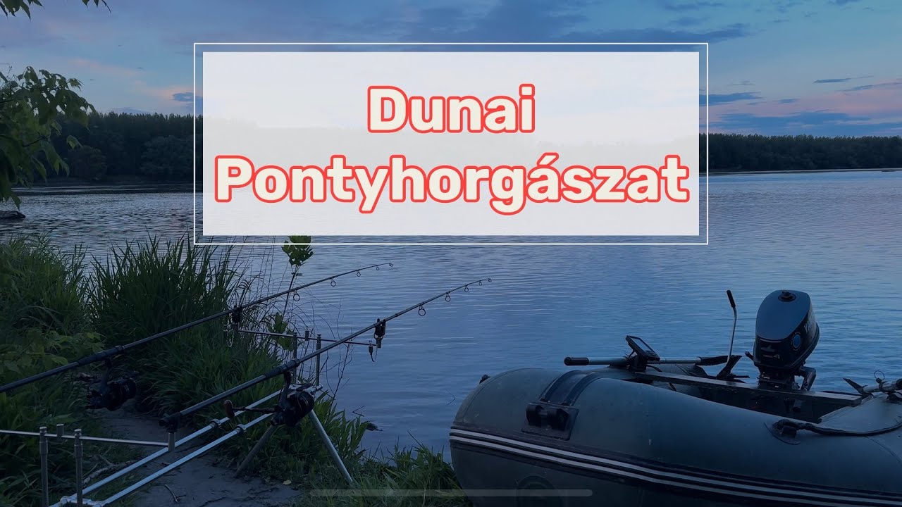 Dunai Pontyhorgászat Bojlival 1.Rész