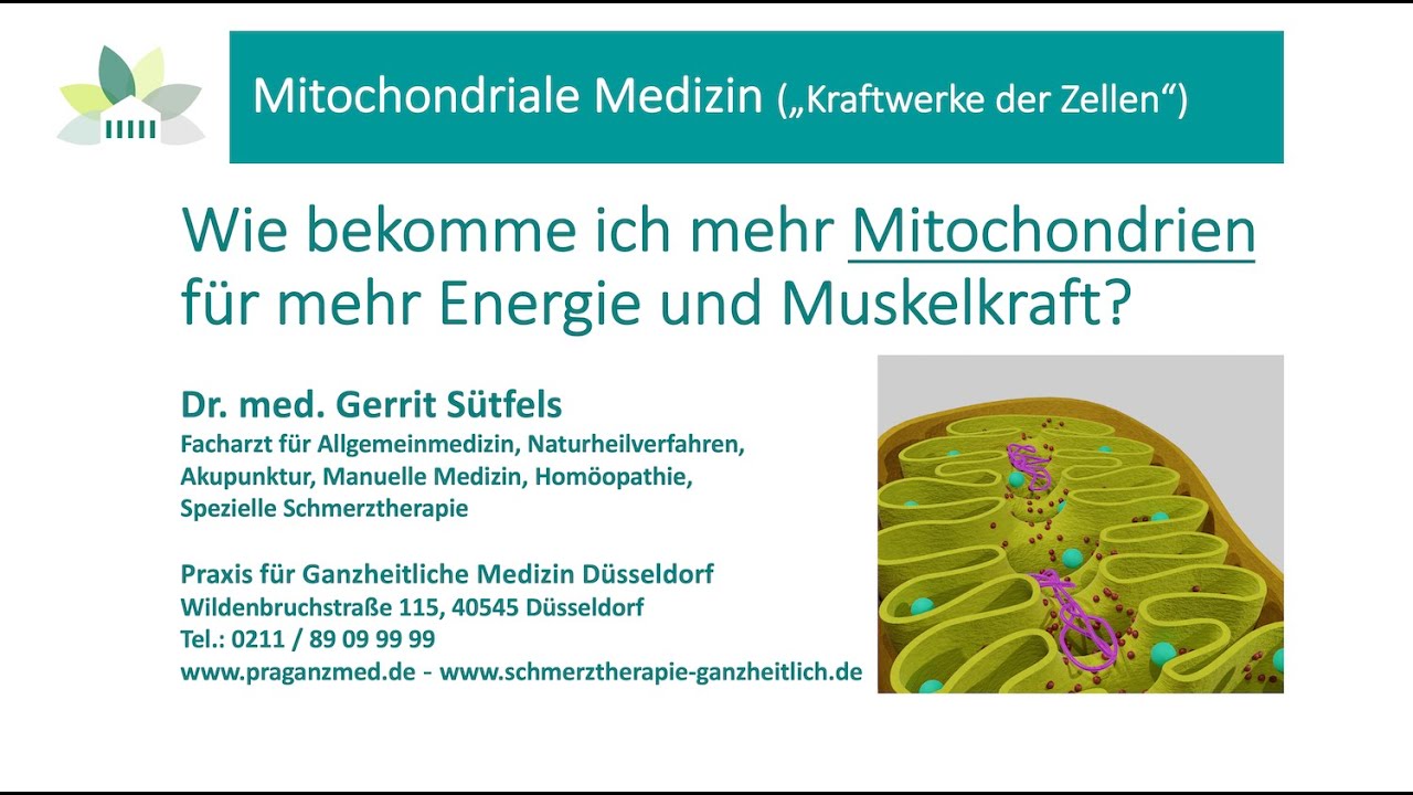 Wie bekomme ich mehr Mitochondrien für mehr Energie und Muskelkraft? - Mitochondriale Medizin