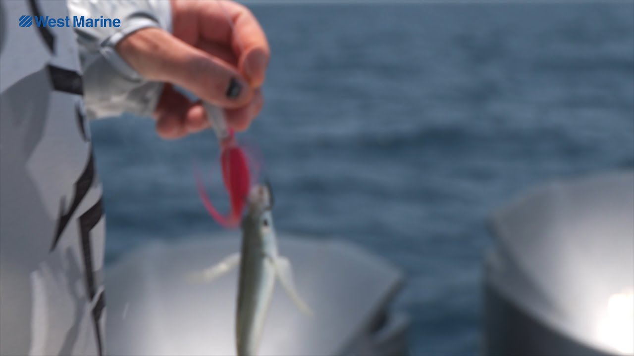 Learn How to Catch Red Snapper in Texas