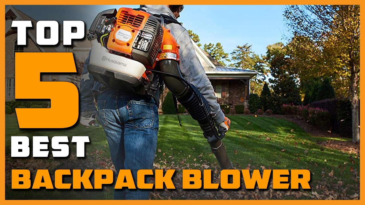 Top 5 Best Backpack Blower in 2023 - Top 5 Backpack Blowers Review
